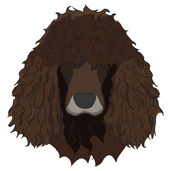 Signmission Irish Water Spaniel Dog Decal, Dog Lover Decor Vinyl Sticker D-12-Irish Water Spaniel - main
